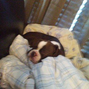 Meet your Posher, Caycee